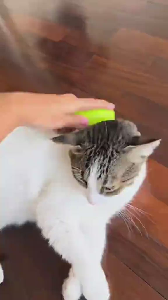 Cepillo De Vapor Para Mascotas - Limpieza y Cuidado del Pelaje
